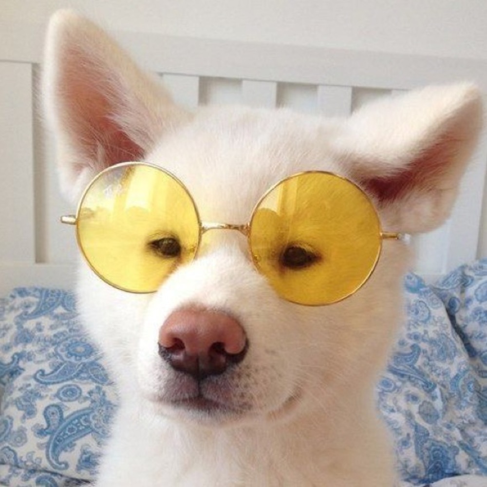 Meet your Posher, Alie